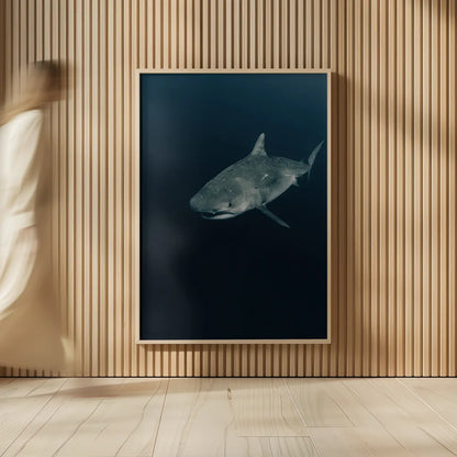Tiger Shark by Max Blakesberg Studios. shown as over sized large wall art. Available as an archival giclee rolled canvas, fine art paper, or poster print. SKU 92695h.