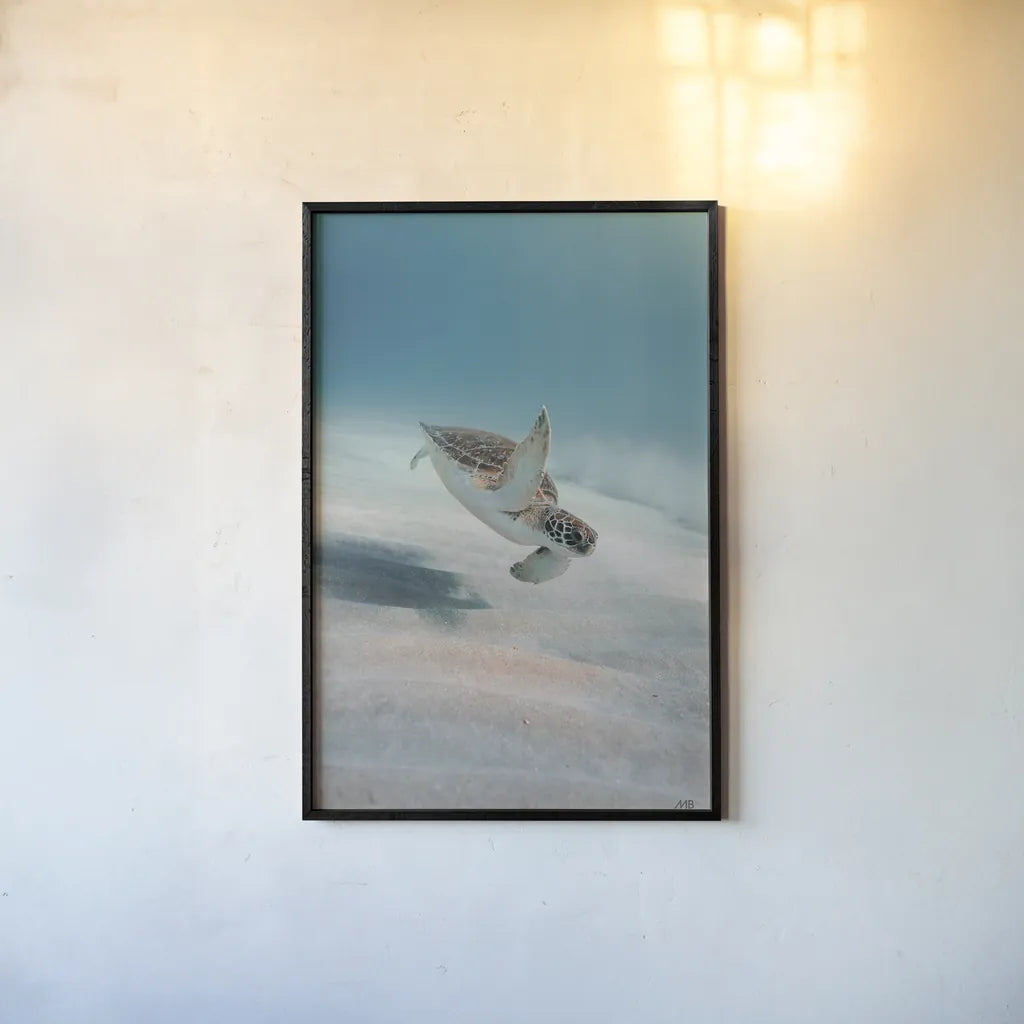 Wave Hello by Max Blakesberg Studios. shown as a paper print in a black flame. Available as a archival giclee rolled canvas, fine art paper, or poster print. SKU 92686h.