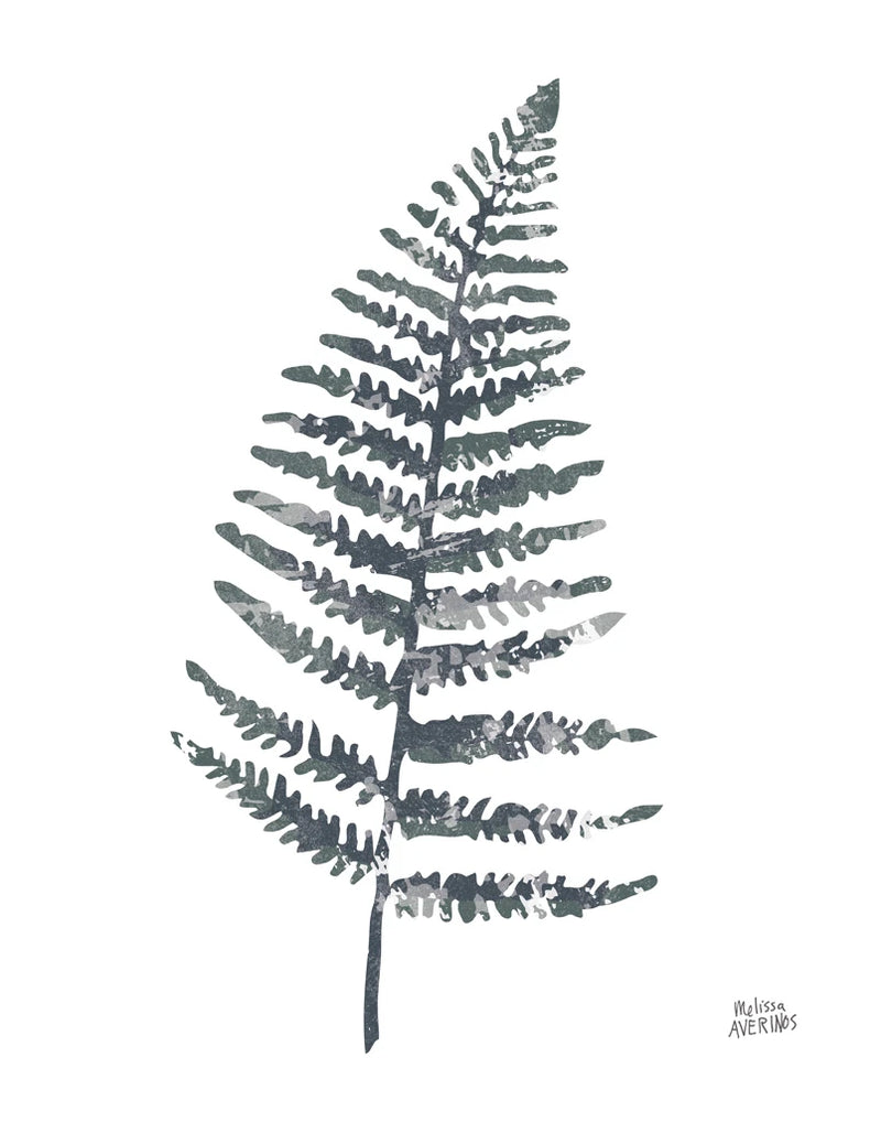 Fern I by Melissa Averinos