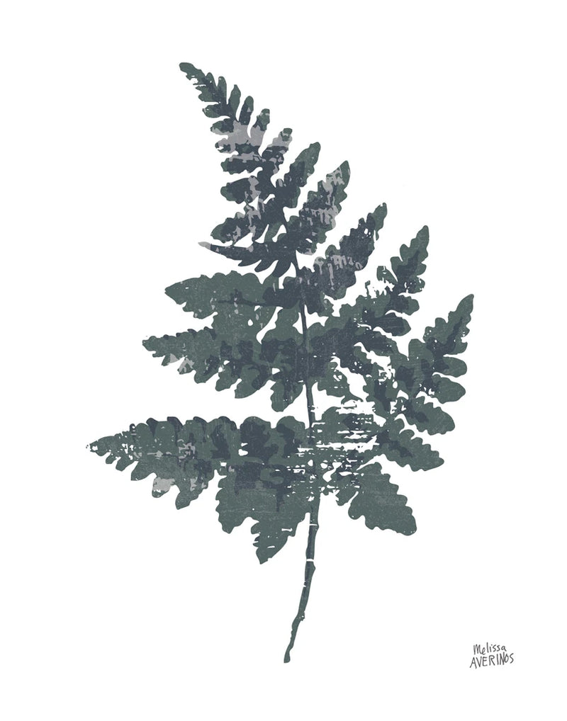Fern II by Melissa Averinos