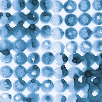 Kanari Square II Indigo by Melissa Averinos. SKU 43112a. Archival Giclee Fine art print for wall decor.