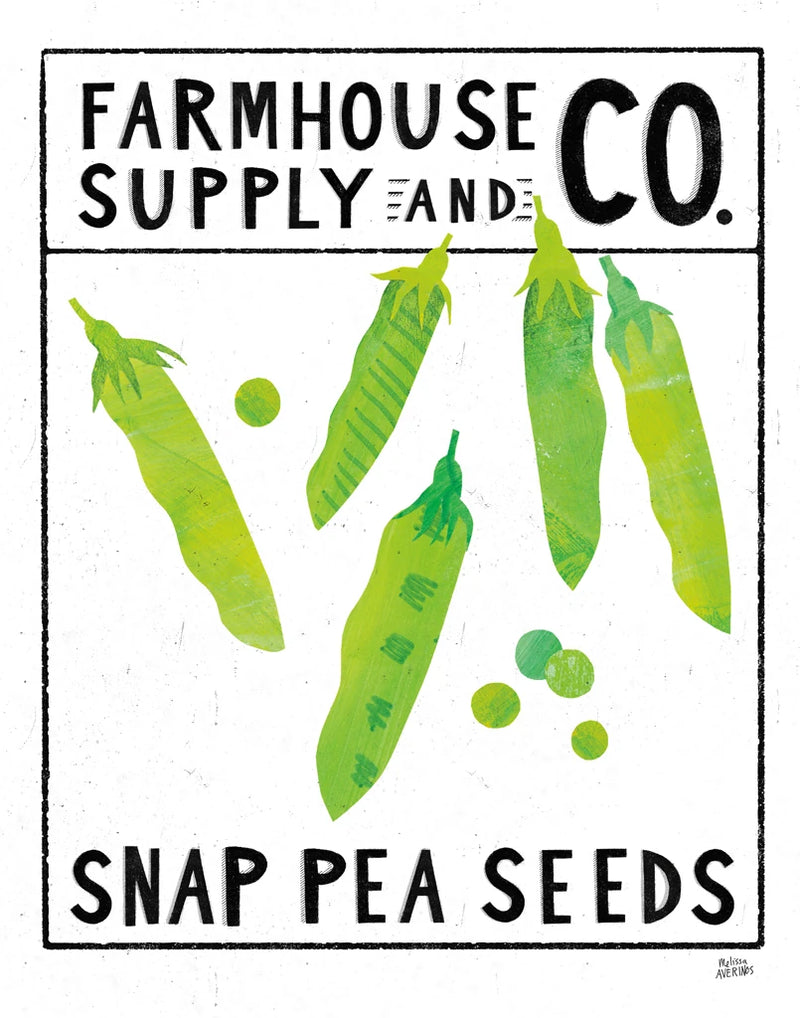 kitchen garden seeds Kitchen Garden Seed Packet II by Melissa Averinos