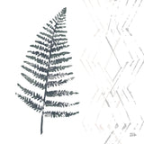 Nordic Fern I by Melissa Averinos. SKU 57294a. Archival Giclee Fine art print for wall decor.