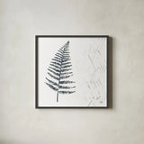 Nordic Fern I by Melissa Averinos. Shown in a sleek black glass frame for a contemporary gallery look. Available as an archival giclee rolled canvas, fine art paper, or poster print. SKU 57294a.