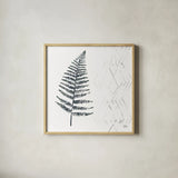 Nordic Fern I by Melissa Averinos. Shown in a natural wood glass frame for a timeless modern aesthetic. Available as an archival giclee rolled canvas, fine art paper, or poster print. SKU 57294a.