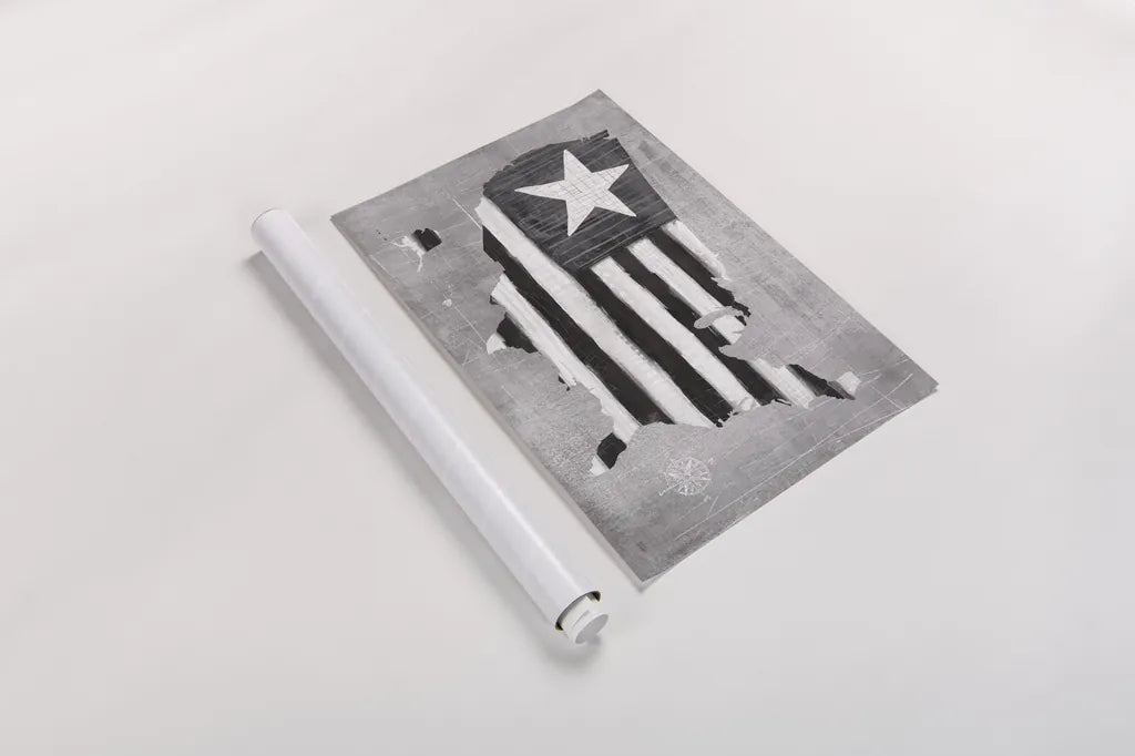 See the USA Americana BW by Melissa Averinos. shown as a rolled paper print. Available as archival giclee rolled canvas, fine art paper, or poster print. SKU 52832i.