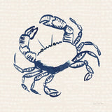 Coastal Crabs II by Mercedes Lopez Charro. SKU 86320a. Archival Giclee Fine art print for wall decor.