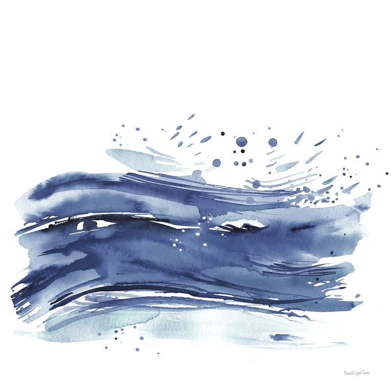Coastal Splash II by Mercedes Lopez Charro. SKU 64831a. Archival Giclee Fine art print for wall decor.