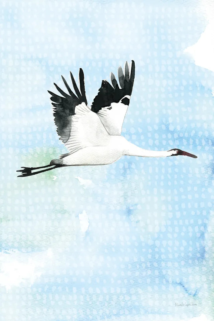 Crane in Flight I by Mercedes Lopez Charro. SKU 77497h. Archival Giclee Fine art print for wall decor.