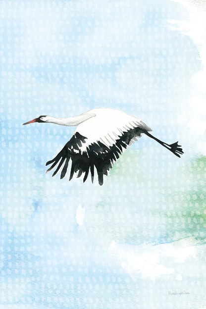Crane in Flight II by Mercedes Lopez Charro. SKU 77498h. Archival Giclee Fine art print for wall decor.