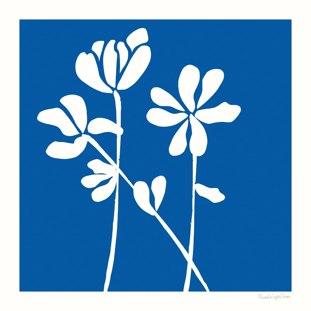 Fleurs de Matisse II Sq by Mercedes Lopez Charro. SKU 80610a. Archival Giclee Fine art print for wall decor.