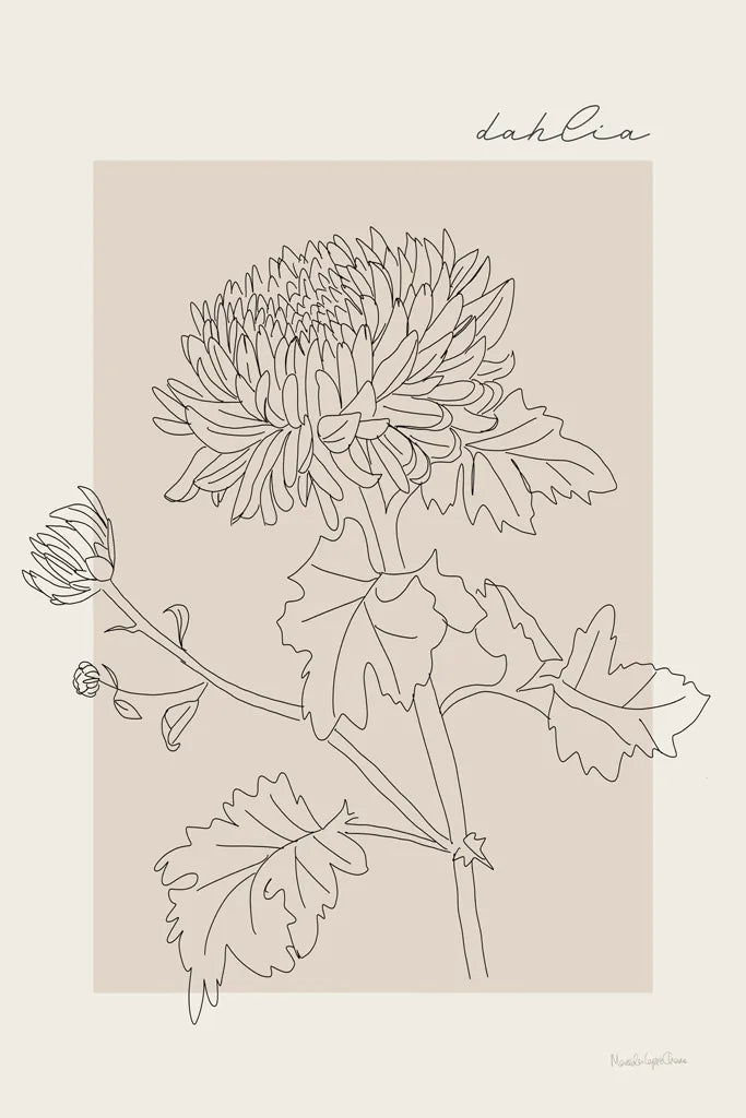 Flower Poster I by Mercedes Lopez Charro. SKU 86543h. Archival Giclee Fine art print for wall decor.