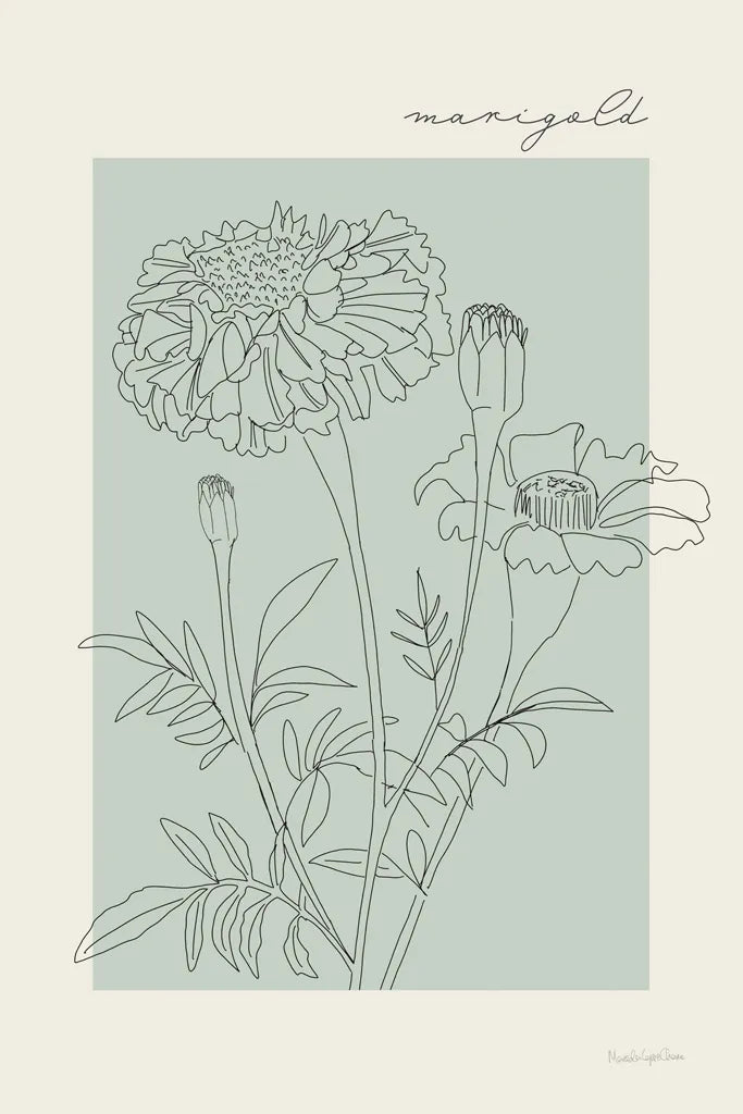 Flower Poster II by Mercedes Lopez Charro. SKU 86544h. Archival Giclee Fine art print for wall decor.