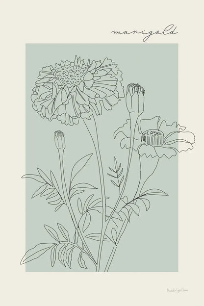 Flower Poster II by Mercedes Lopez Charro. SKU 86544h. Archival Giclee Fine art print for wall decor.