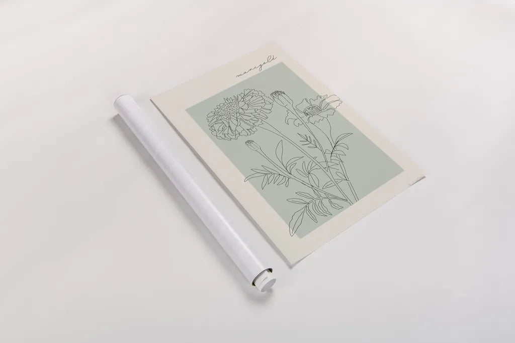 Flower Poster II by Mercedes Lopez Charro. shown as a rolled paper print. Available as archival giclee rolled canvas, fine art paper, or poster print. SKU 86544h.