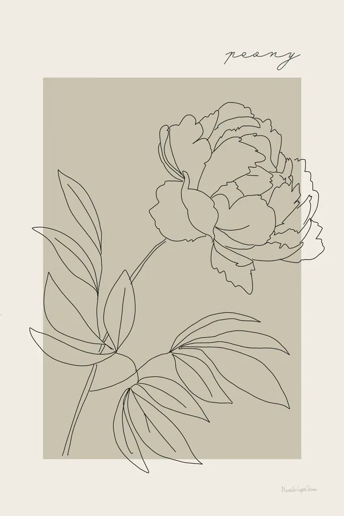 Flower Poster III by Mercedes Lopez Charro. SKU 86545h. Archival Giclee Fine art print for wall decor.