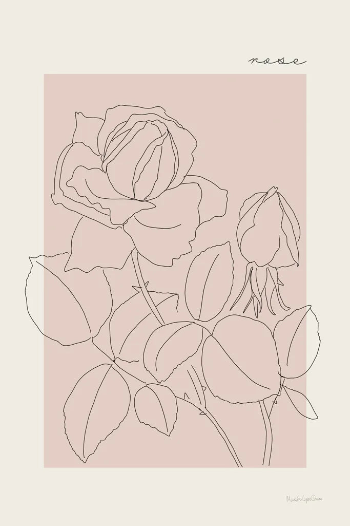 Flower Poster IV by Mercedes Lopez Charro. SKU 86546h. Archival Giclee Fine art print for wall decor.