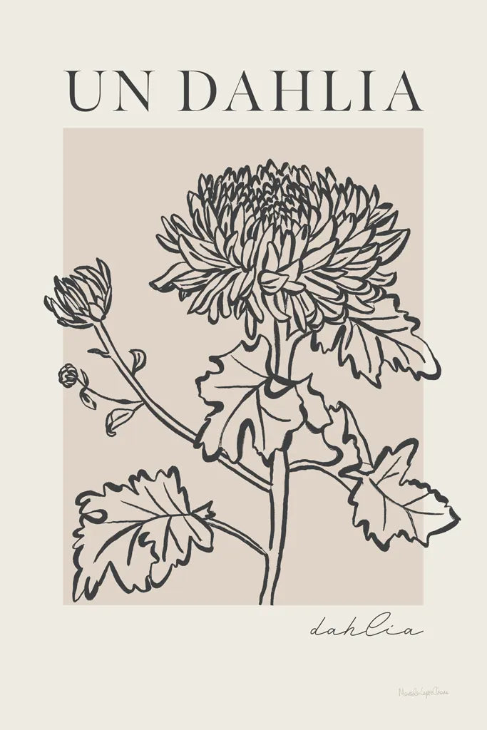 French Flower Poster I Bold by Mercedes Lopez Charro. SKU 86097h. Archival Giclee Fine art print for wall decor.