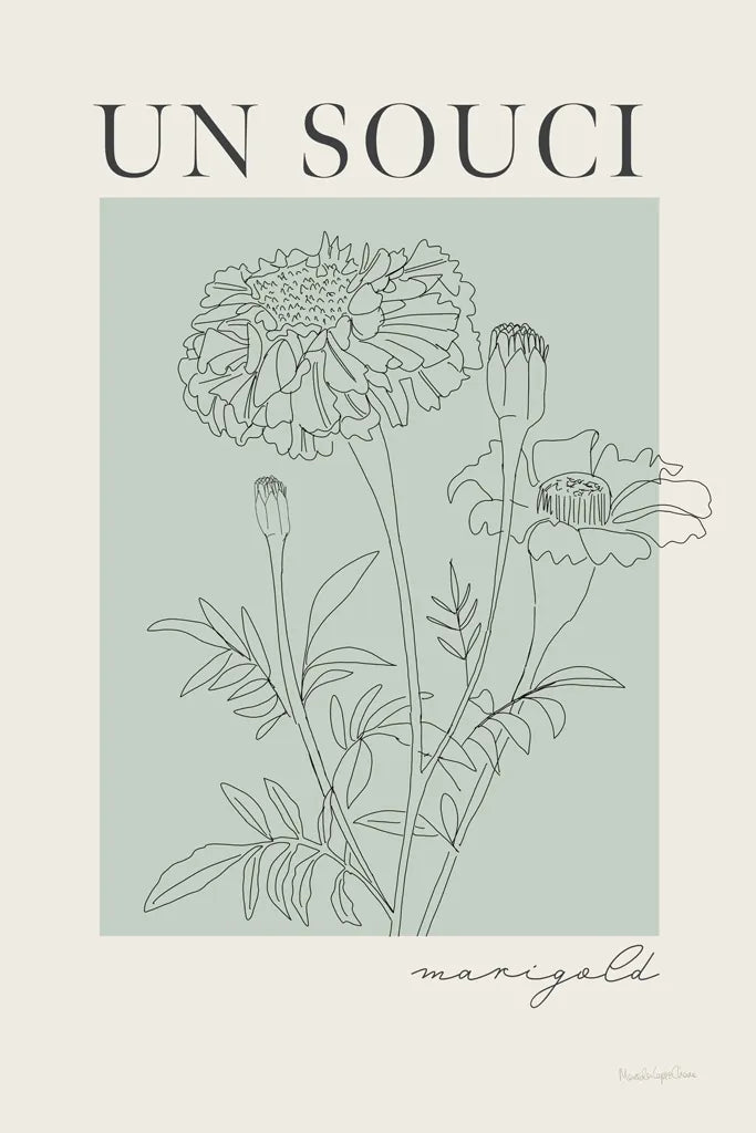 French Flower Poster II by Mercedes Lopez Charro. SKU 86078h. Archival Giclee Fine art print for wall decor.