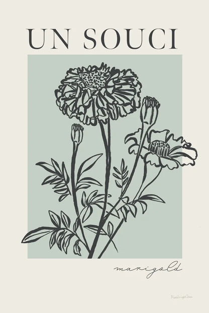 French Flower Poster II Bold by Mercedes Lopez Charro. SKU 86098h. Archival Giclee Fine art print for wall decor.