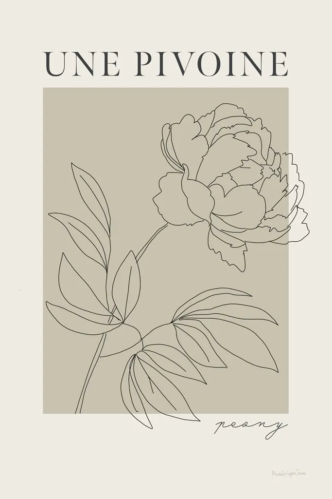 French Flower Poster III by Mercedes Lopez Charro. SKU 86079h. Archival Giclee Fine art print for wall decor.