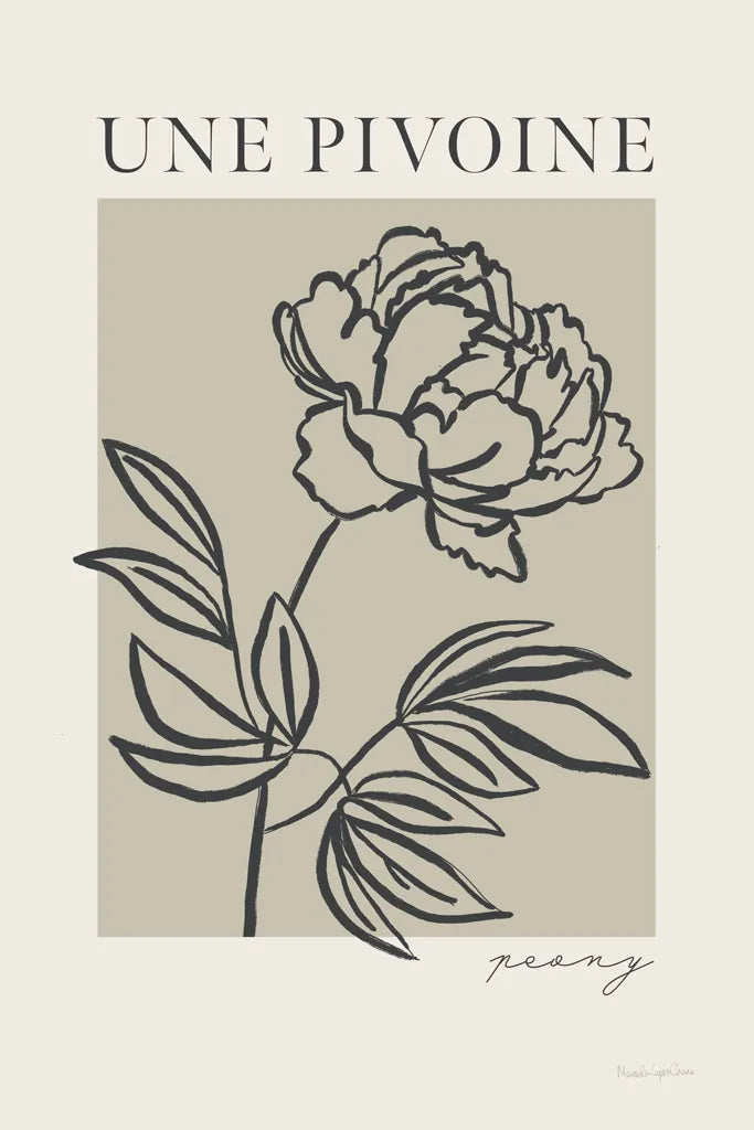 French Flower Poster III Bold by Mercedes Lopez Charro. SKU 86099h. Archival Giclee Fine art print for wall decor.