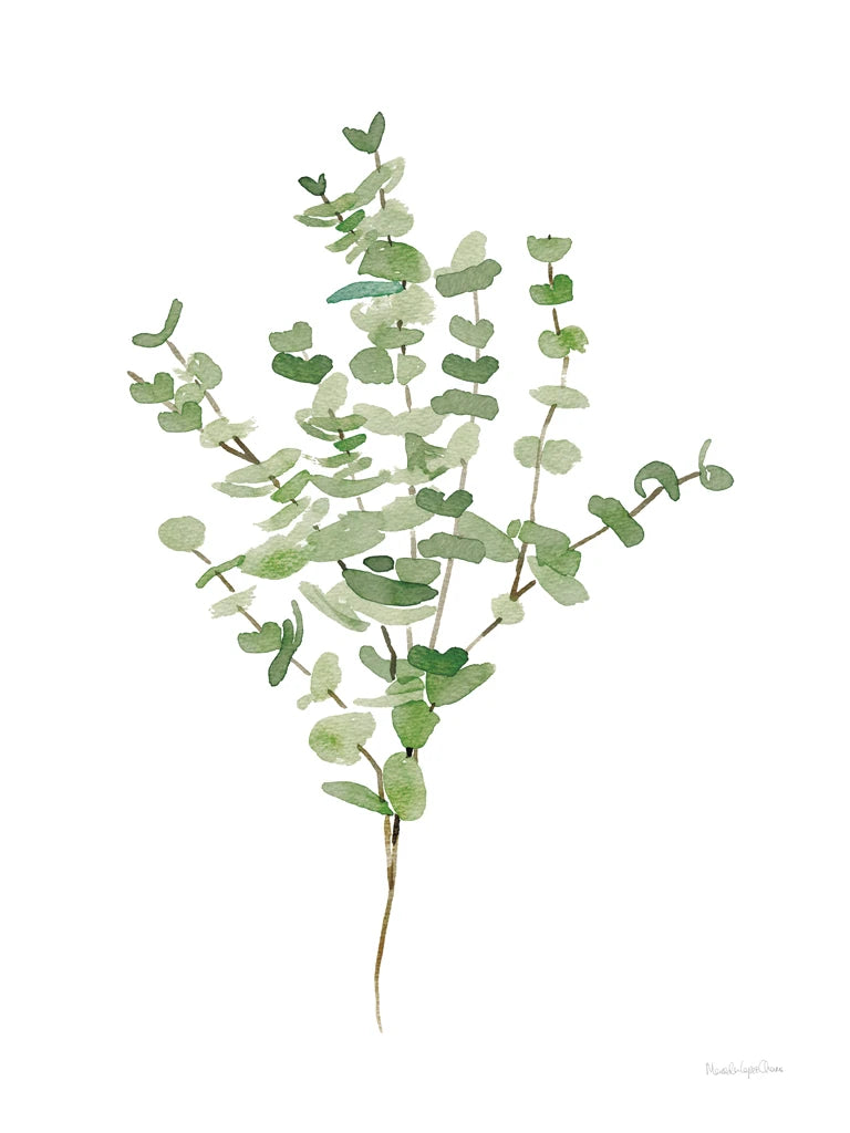 Gentle Eucalyptus by Mercedes Lopez Charro