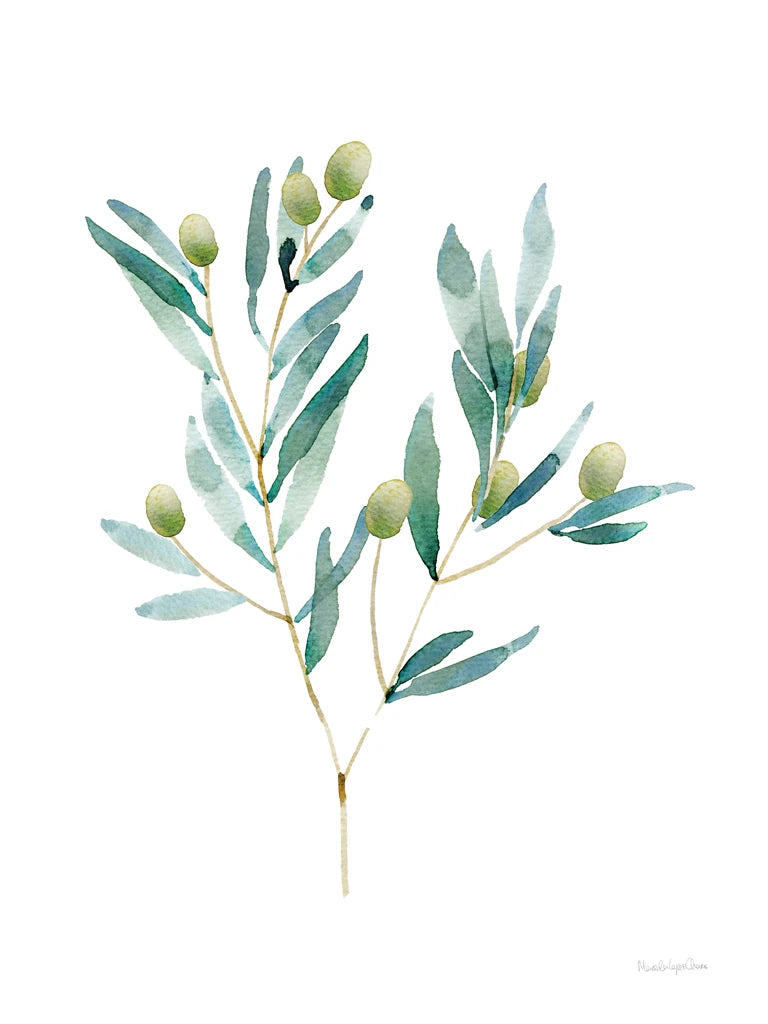 Gentle Olive Branch by Mercedes Lopez Charro