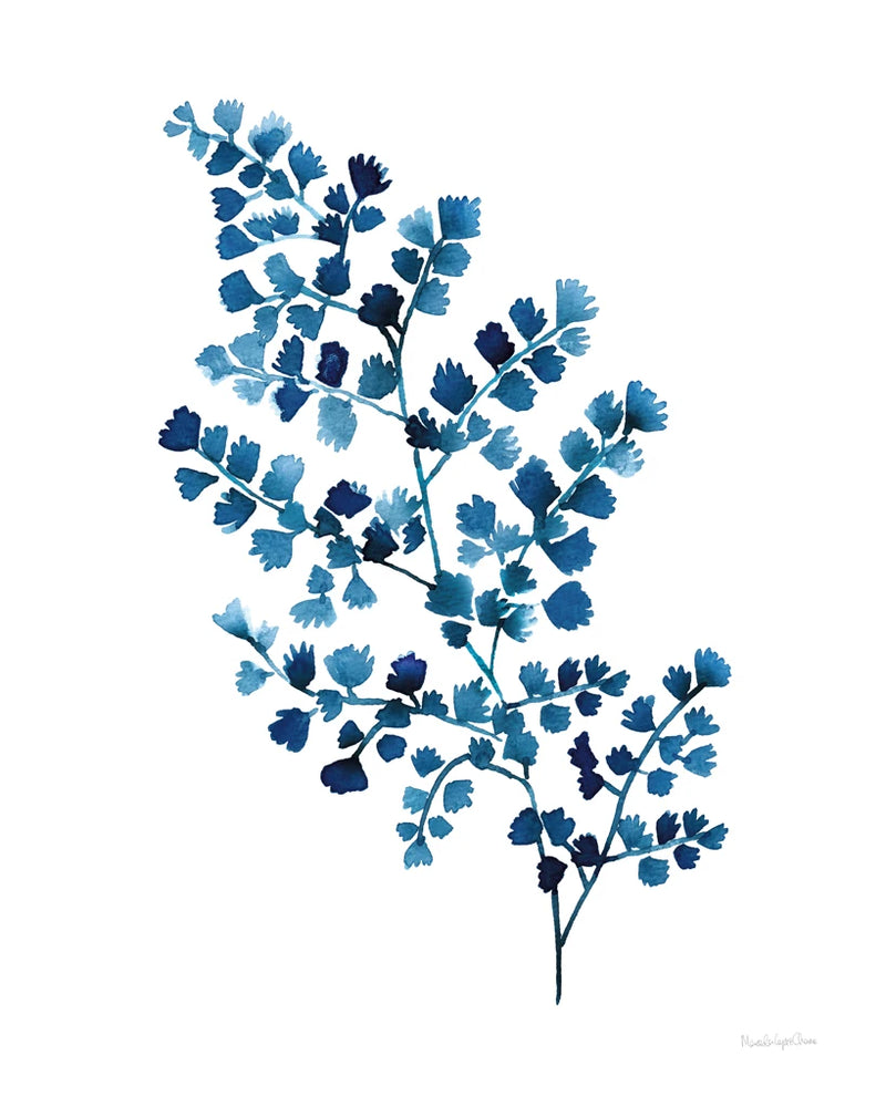 Maidenhair Fern by Mercedes Lopez Charro