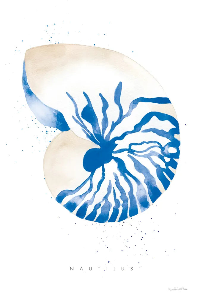 Nautilus by Mercedes Lopez Charro. SKU 69378h. Archival Giclee Fine art print for wall decor.