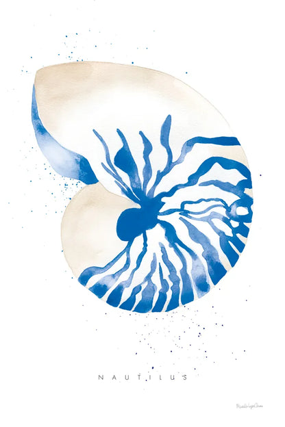 Nautilus by Mercedes Lopez Charro. SKU 69378h. Archival Giclee Fine art print for wall decor.