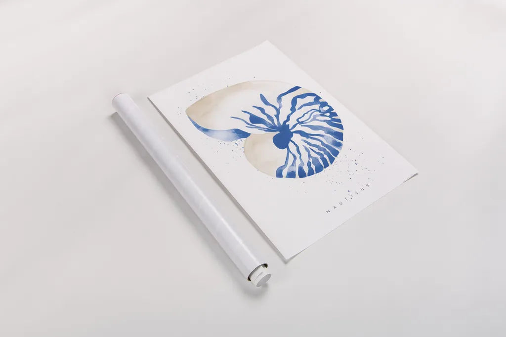 Nautilus by Mercedes Lopez Charro. shown as a rolled paper print. Available as archival giclee rolled canvas, fine art paper, or poster print. SKU 69378h.