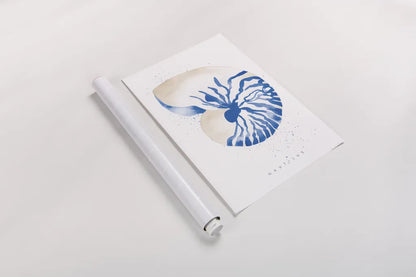 Nautilus by Mercedes Lopez Charro. shown as a rolled paper print. Available as archival giclee rolled canvas, fine art paper, or poster print. SKU 69378h.