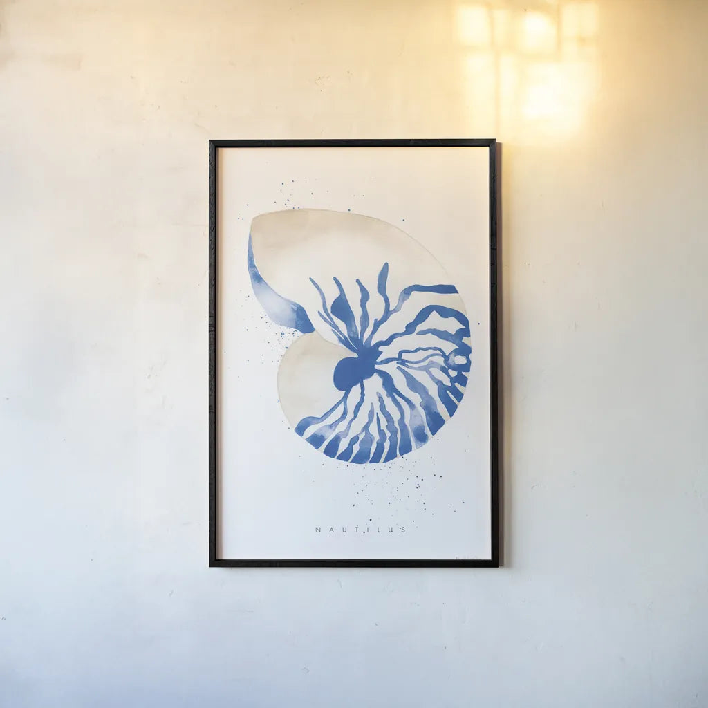 Nautilus by Mercedes Lopez Charro. shown as a paper print in a black flame. Available as a archival giclee rolled canvas, fine art paper, or poster print. SKU 69378h.