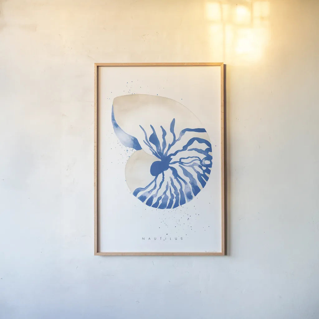 Nautilus by Mercedes Lopez Charro. shown as a paper print in a natural frame. Available as a archival giclee rolled canvas, fine art paper, or poster print. SKU 69378h.
