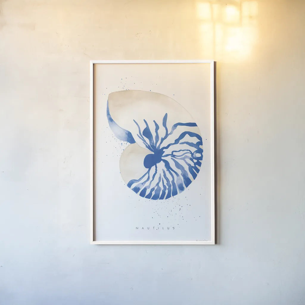 Nautilus by Mercedes Lopez Charro. shown as a paper print in a white frame. Available as a archival giclee rolled canvas, fine art paper, or poster print. SKU 69378h.