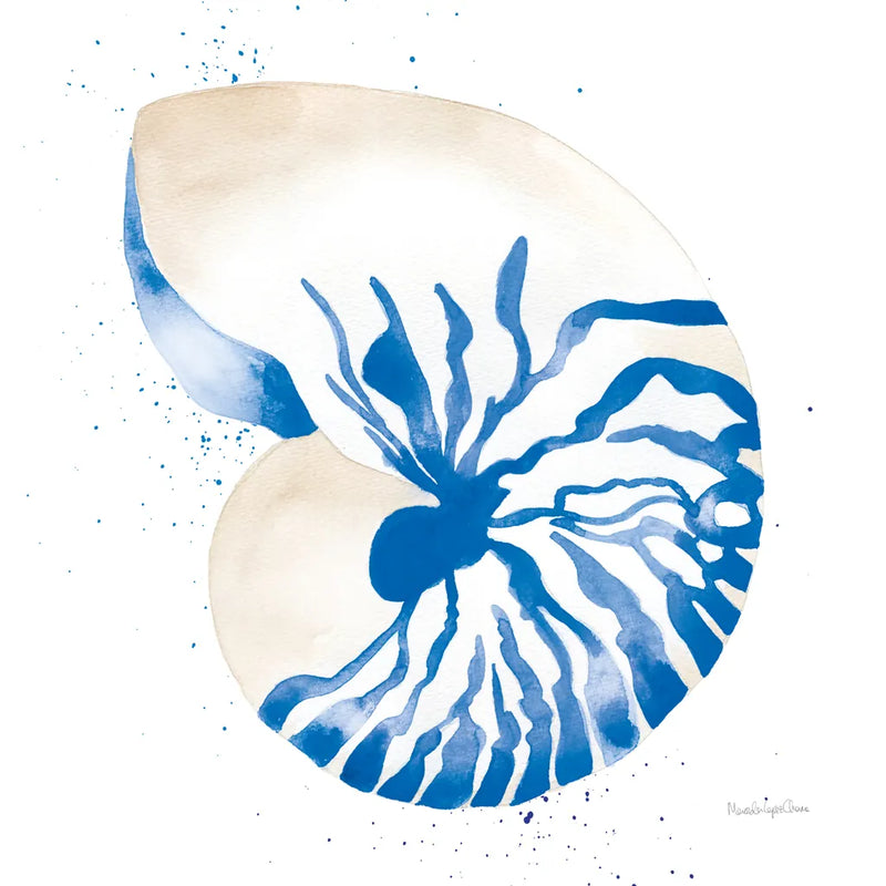 Nautilus Sq by Mercedes Lopez Charro. SKU 70065a. Archival Giclee Fine art print for wall decor.
