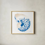 Nautilus Sq by Mercedes Lopez Charro. Shown in a natural wood glass frame for a timeless modern aesthetic. Available as an archival giclee rolled canvas, fine art paper, or poster print. SKU 70065a.