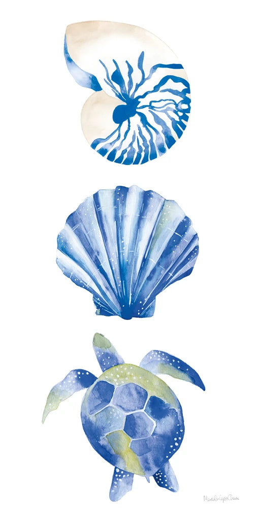 Salty Waves Shells by Mercedes Lopez Charro