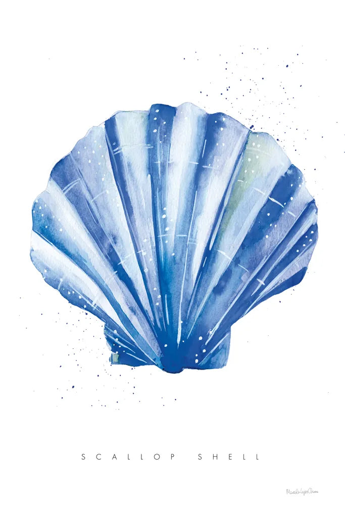 Scallop Shell by Mercedes Lopez Charro. SKU 69379h. Archival Giclee Fine art print for wall decor.