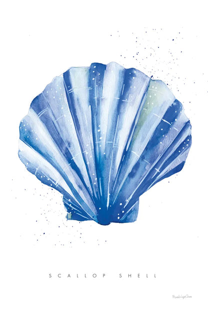 Scallop Shell by Mercedes Lopez Charro. SKU 69379h. Archival Giclee Fine art print for wall decor.