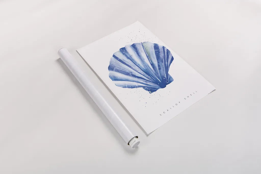 Scallop Shell by Mercedes Lopez Charro. shown as a rolled paper print. Available as archival giclee rolled canvas, fine art paper, or poster print. SKU 69379h.