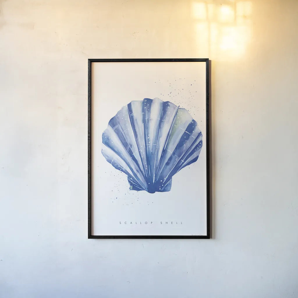 Scallop Shell by Mercedes Lopez Charro. shown as a paper print in a black flame. Available as a archival giclee rolled canvas, fine art paper, or poster print. SKU 69379h.