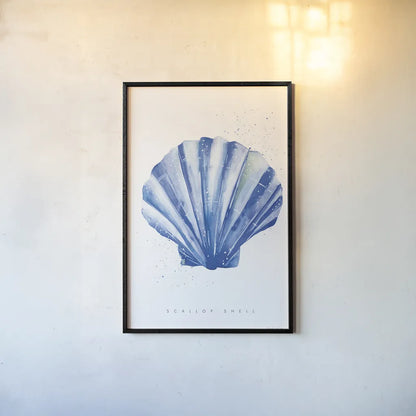 Scallop Shell by Mercedes Lopez Charro. shown as a paper print in a black flame. Available as a archival giclee rolled canvas, fine art paper, or poster print. SKU 69379h.