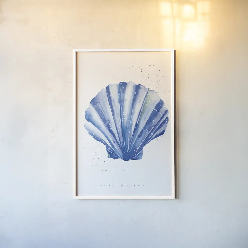 Scallop Shell by Mercedes Lopez Charro. shown as a paper print in a white frame. Available as a archival giclee rolled canvas, fine art paper, or poster print. SKU 69379h.