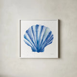 Scallop Shell Sq by Mercedes Lopez Charro. Shown in a crisp white glass frame for a clean and minimalist style. Available as an archival giclee rolled canvas, fine art paper, or poster print. SKU 70066a.