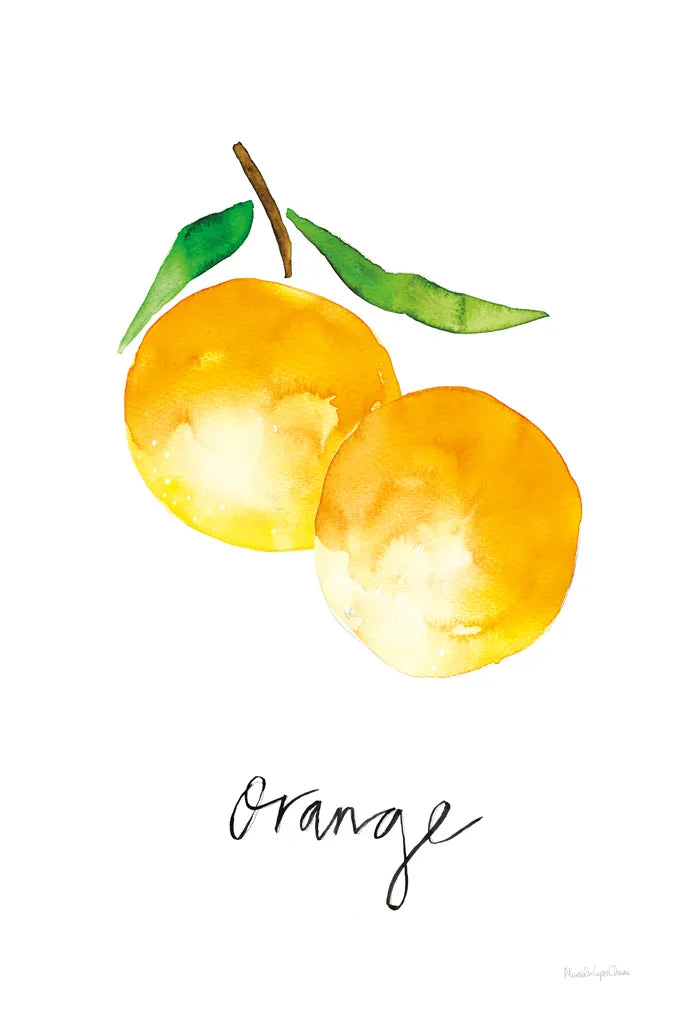 Single Orange by Mercedes Lopez Charro. SKU 67135h. Archival Giclee Fine art print for wall decor.