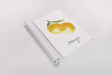 Single Orange by Mercedes Lopez Charro. shown as a rolled paper print. Available as archival giclee rolled canvas, fine art paper, or poster print. SKU 67135h.