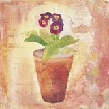Auricula by Michael Clark. SKU 8715a. Archival Giclee Fine art print for wall decor.