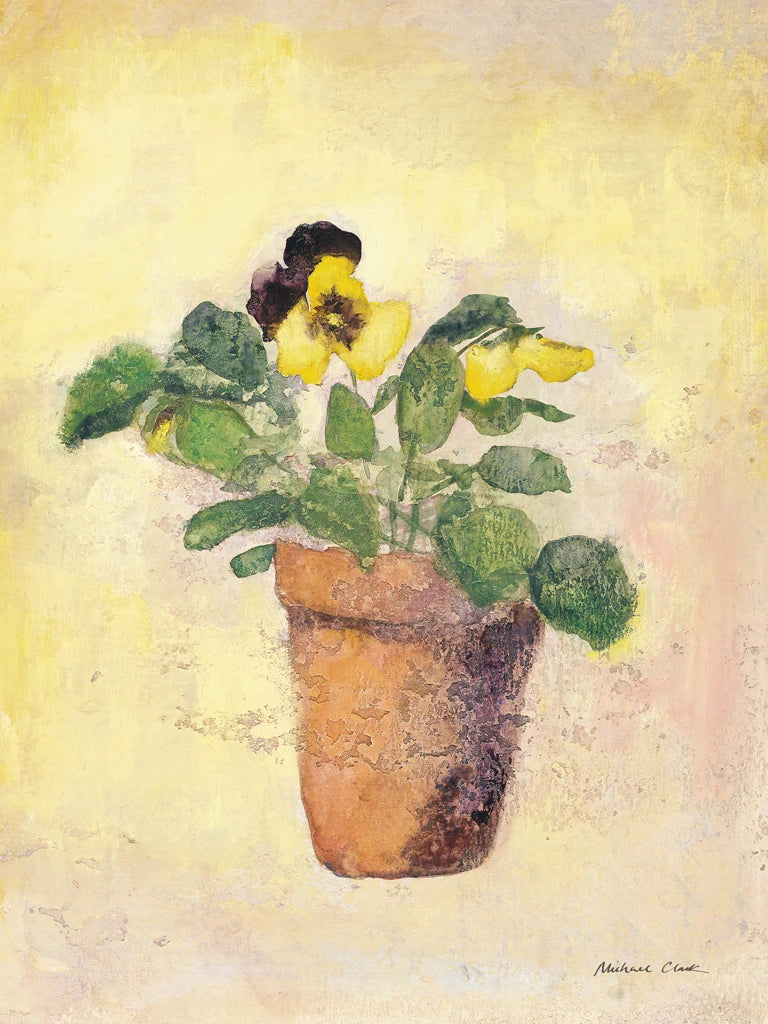 Pansy Giant Fancy by Michael Clark